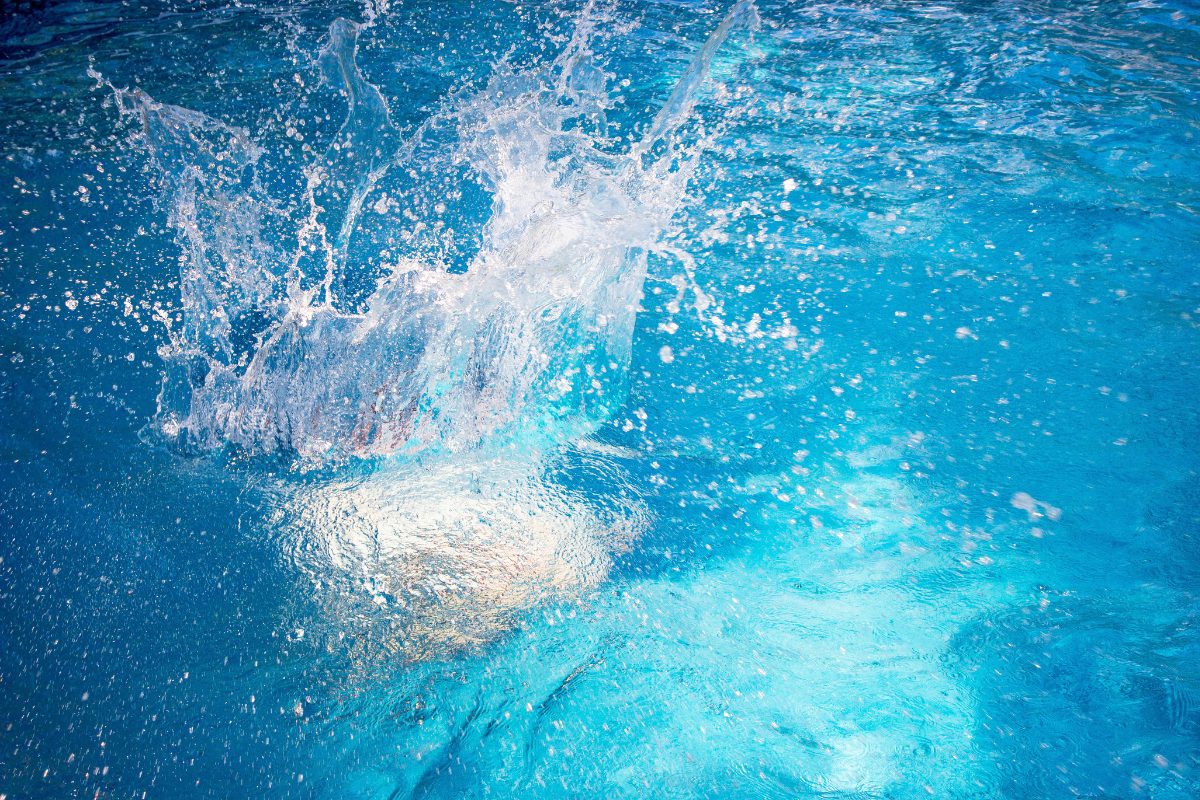 splash in the pool 